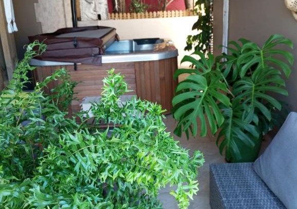 Bois d'Olives Apartment | NON FUMEURS uniquement ! LIRE PROFIL DE L'HOTE AVANT DE RESERVER!