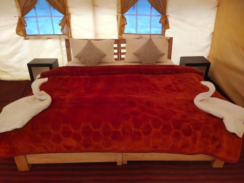 Hundur Other | Northern Valley Camp - Nubra