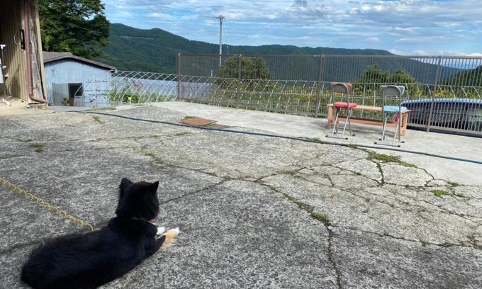 Tsurugi-cho House | Nouka Minsyuku Nakajima - Vacation STAY 99829