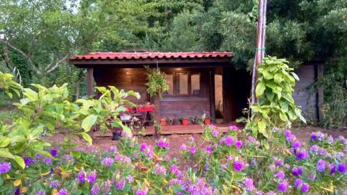 Paredes de Coura Ski Chalet | O Cantinho de Coura - a cabana