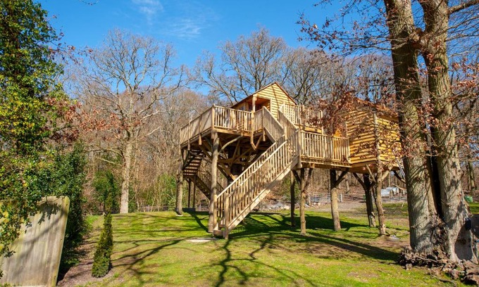 Upper Harbledown Cabin | Oakside Tree Tops
