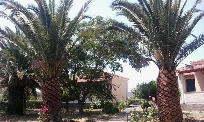 Skala Kallonis House | Oasis Studios Skala Kallonis