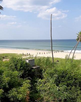 Trincomalee Hotel | Ocean palms beach resort