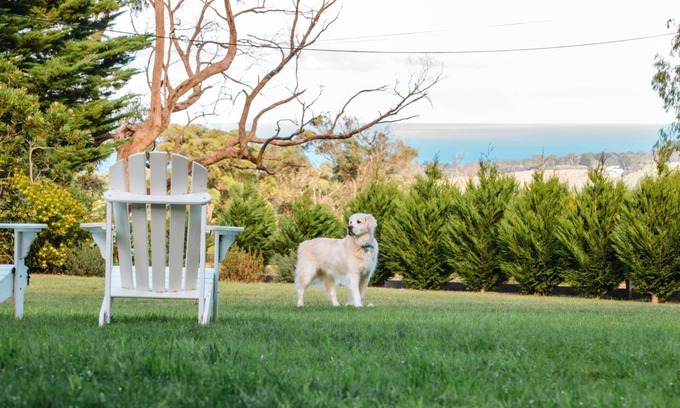 Red Hill South House | Ocean View House - Solar Heated Pool and Pet Friendly