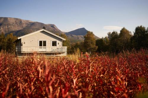 Nordreisa Apartment | Oksfjordhjem