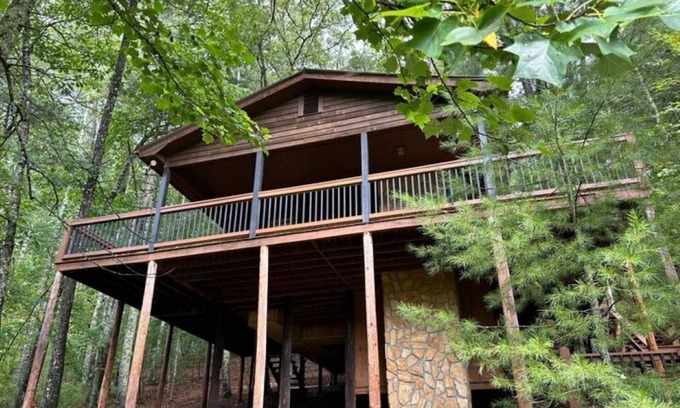 Suches Cabin | Olaf's Gone Hiking - Pet friendly