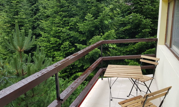 Sinaia Apartment | Olala Forest Apartments