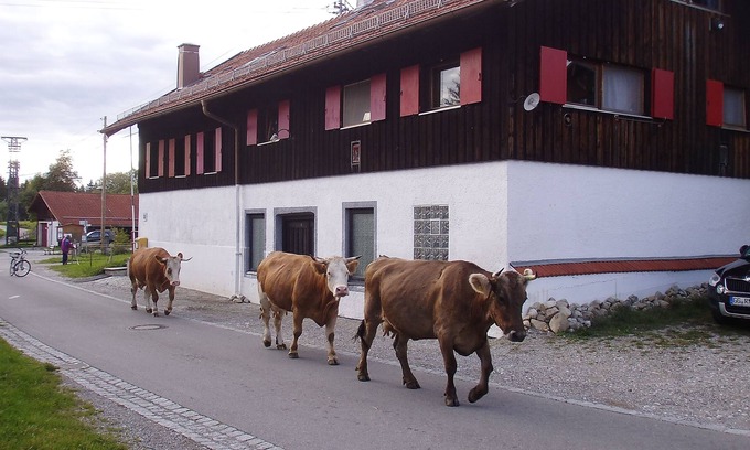 Oy-Mittelberg House | Old Bachtel Dairy