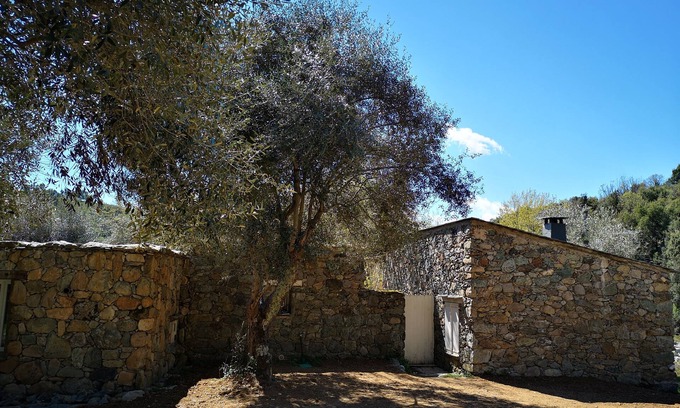 Santa-Lucia-di-Mercurio House | Old stone sheepfold completely renovated 2 steps from Corte