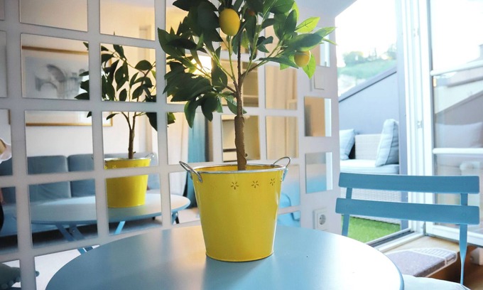 Altstadt Apartment | Old town. Studio with a Castle View. Roof terrace