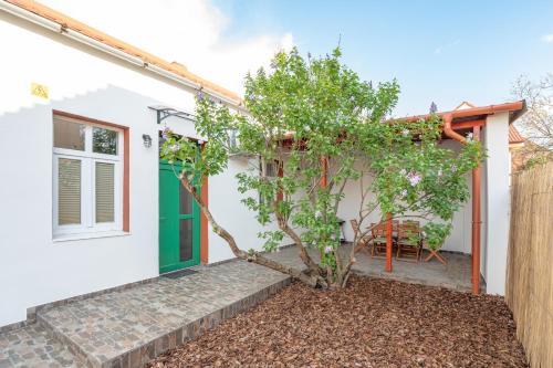 Oradea House | Old Tree House