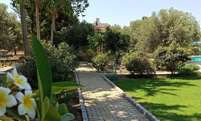 Kyrenia District Ski Chalet | Olive Garden Holiday Homes
