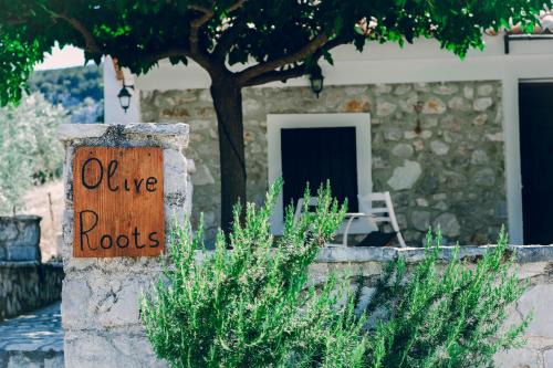 Ermionida Apartment | Olive Roots