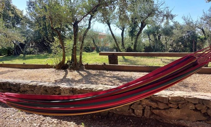 Tornac House | Olive trees