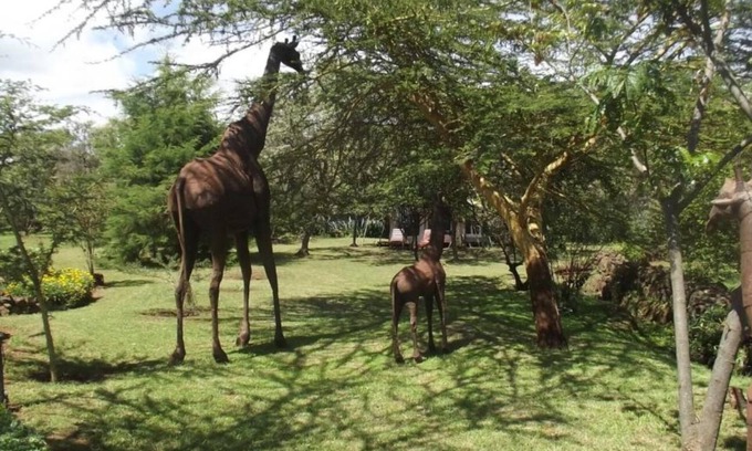 Naivasha House | Olkaria .