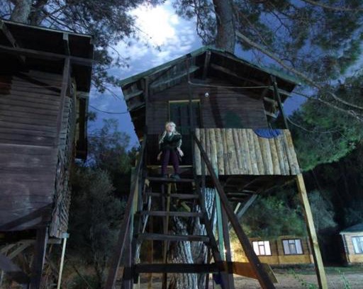 Olympos Resort | Olympos Woods