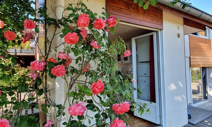 Barr Apartment | On your terrace at the foot of an oak tree, feel the Alsace's vibes !