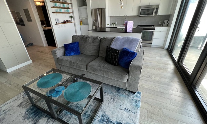 Downtown Winnipeg Apartment | One Bedroom Over Looking the City Laundry Wifi Office Space