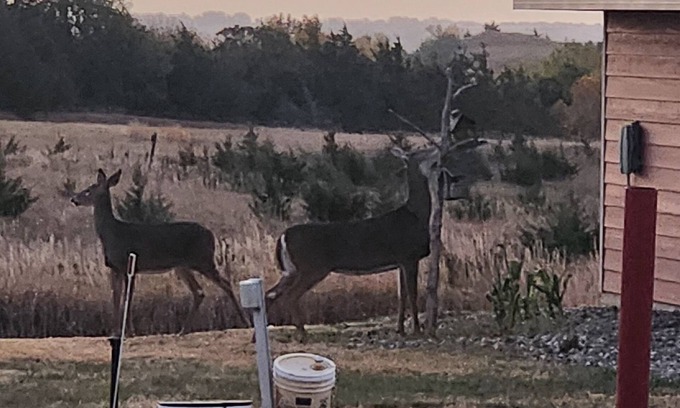Crofton Cabin | One4-bedroom cabins with WiFi and AC in Crofton, NE. Reserve for one night/more.