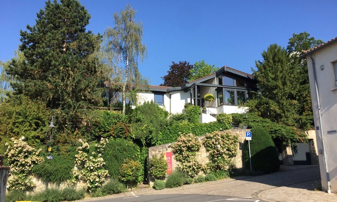 Mainz-Bingen Apartment | Oppenheim Lofts - Smart living above town, Loft 1