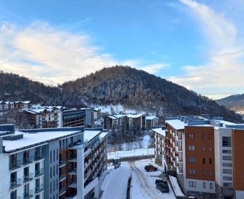 Bakuriani Hotel | Orbi Palace Hotel Official