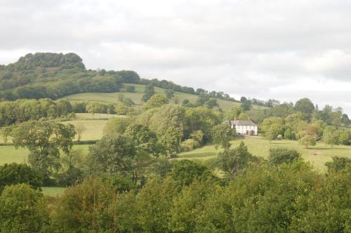 Honiton House | Orchard Barn, Woodhayes