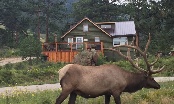 Estes Park Cabin | Original Rocky Mountain National Park Cabin W/Modern Updates &360 Mountain Views