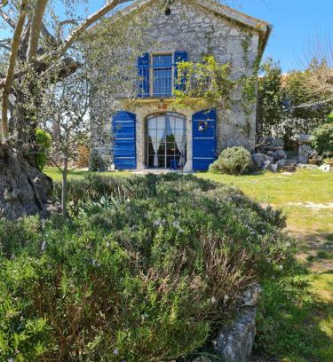 Gabonjin House | Oskar Sunny House - Adults Only