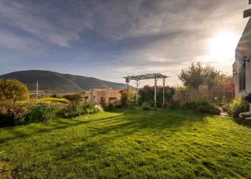 Tsiv'on Villa | Our Mount Meron Orchard - your perfect getaway