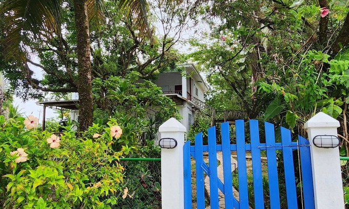 Forest Home Apartment | Our Sea Garden Suite faces the Caribbean and awaits you