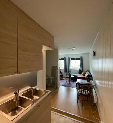 Lebesby Apartment | Overnatting Kjøllefjord, Hybelleilighet med kjøkkenkrok og eget bad
