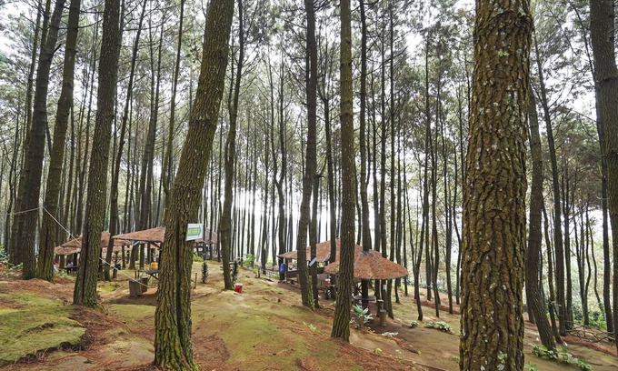 Cimahi House | OYO Homes 90914 Eco Tourism Desa Cipada Bukit Senyum Homestay Syariah
