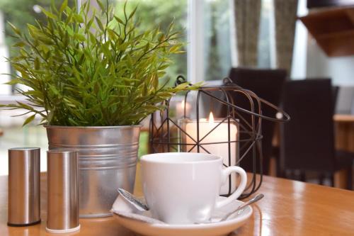 Eicken Hotel | Palazzo Hotel