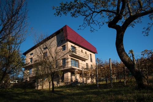 Baia-Sprie House | Panoramic