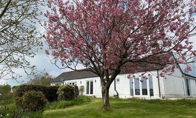 Llanfairpwllgwyngyll Apartment | Panoramic tranquility