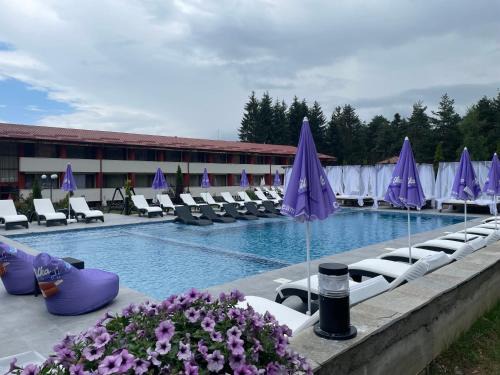 Tsigov Chark Hotel | Paradise SPA Hotel