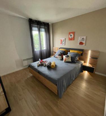 Vaires-sur-Marne Apartment | Paris Disneyland appartement centre-ville, parking, au coeur de l'aviron