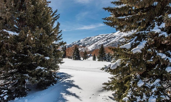 North Park City Apartment | Park Avenue 3 Bedroom Condominiums