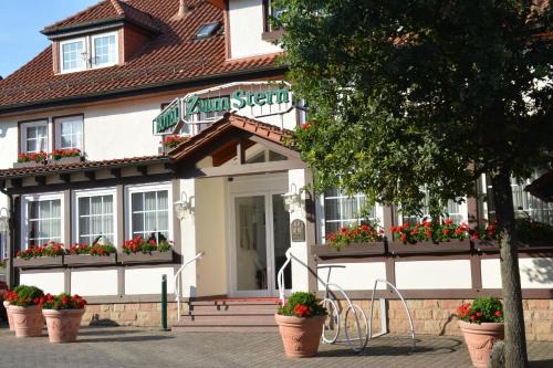 Oberaula Hotel | Parkhotel zum Stern