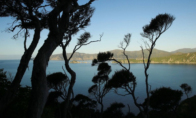 Waikawa Bay Other | Parklands Marina Holiday Park