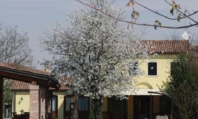 Oriago House | "Particolari del Brenta" - Elisa accommodation - Comfortable house with garden in Venice