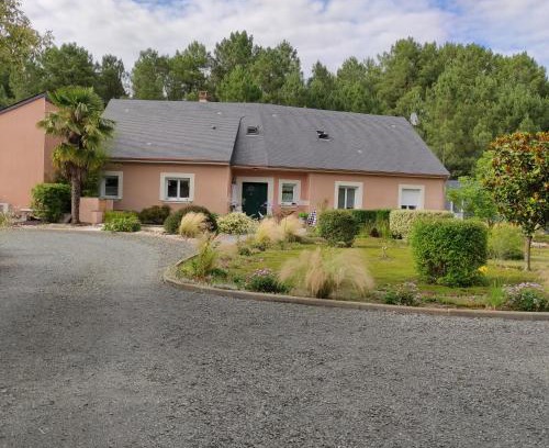 Chateau-l'Hermitage House | Pascal et Domi CHAMBRES "l'oasis des pins"