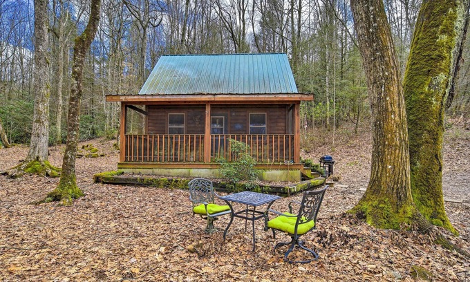 Butler Apartment | Peaceful Mountain City Cabin w/Porch & Fire Pit