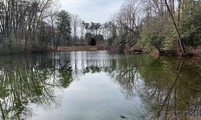 Oldhams Apartment | Peaceful Pond Retreat offers a home away from home!