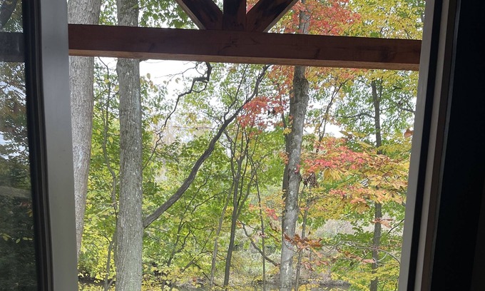 Clearfield Cabin | Peaceful Primitive Riverfront Cabin. Pet Friendly