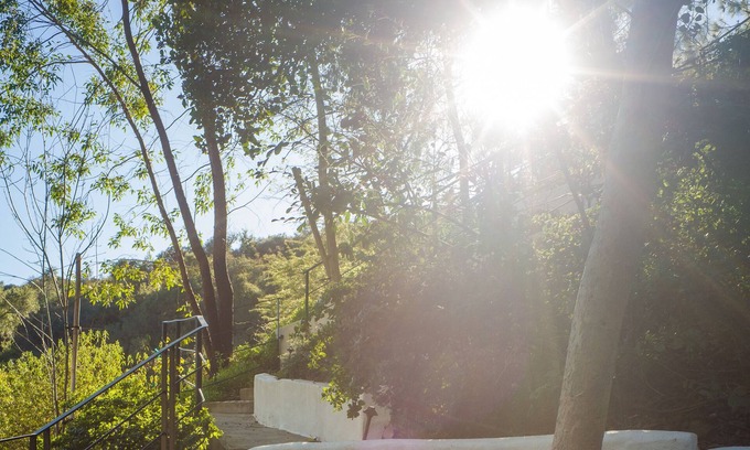 The Flats Villa | Peaceful Treehouse. Perched amongst the lush trees of Benedict Canyon.