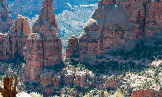 Fruita House | Peach House II: Outdoor Dining, Firepit & More!