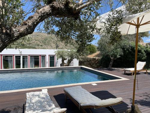 Fundao House | Pedra Nova