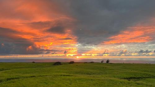 Naalehu House | Peles Eye