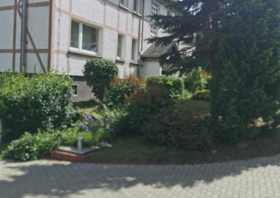 Elbingerode House | Pension Harzbaude Susanne